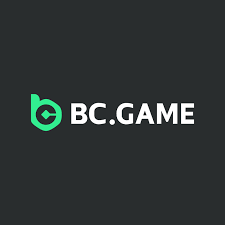 Comprehensive Guide to BC.Game Payment Methods